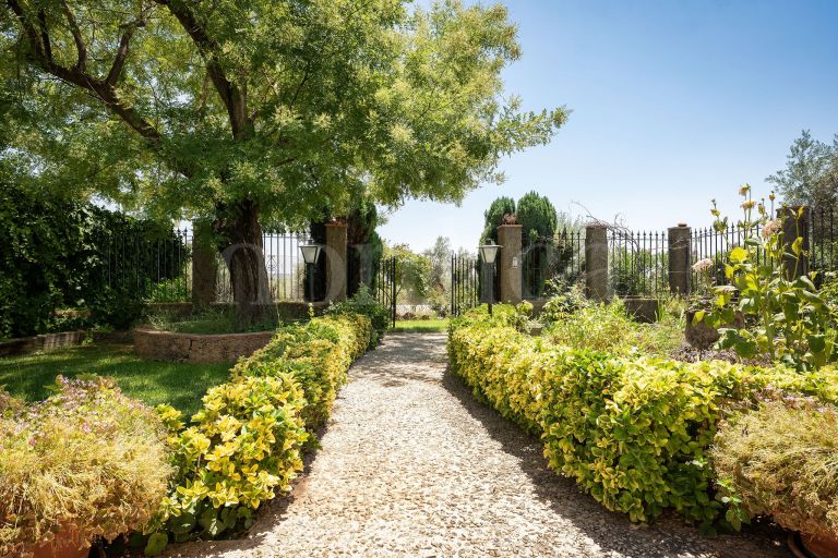 La Aragonesa – An Authentic Andalusian Estate with History and Character