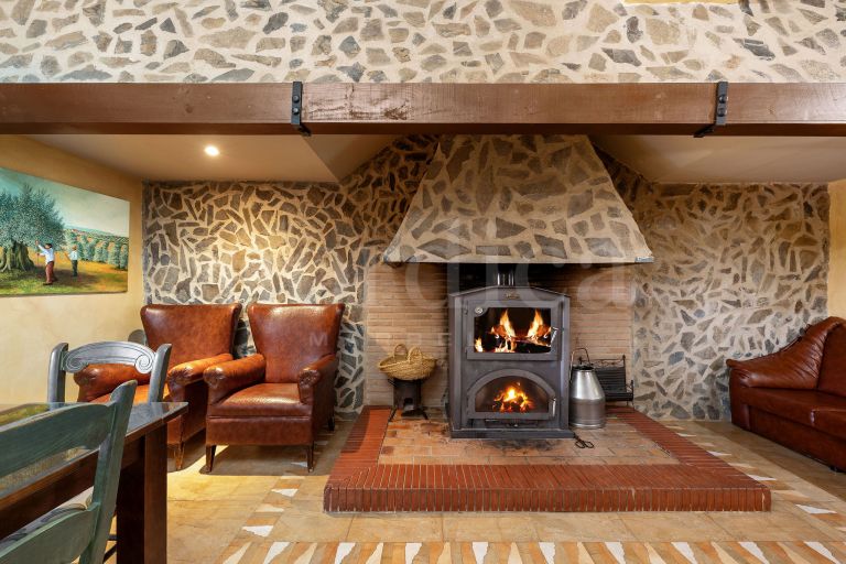 La Aragonesa – An Authentic Andalusian Estate with History and Character
