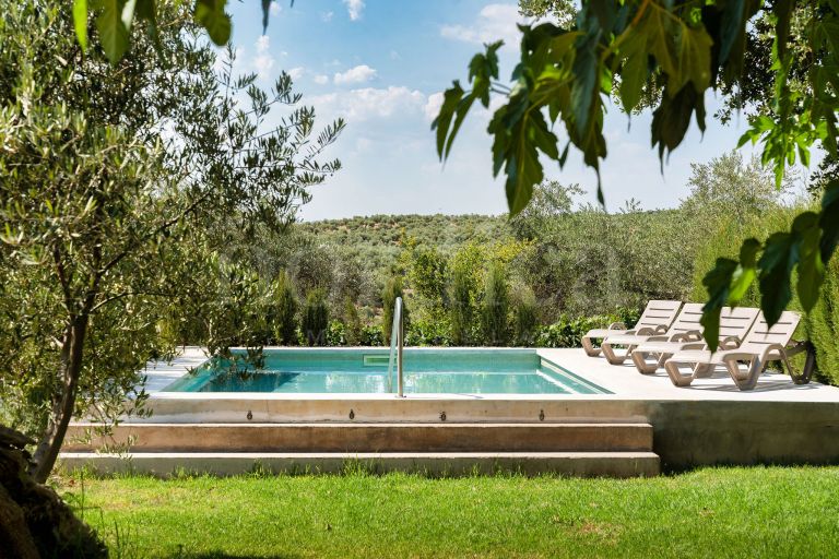 La Aragonesa – An Authentic Andalusian Estate with History and Character
