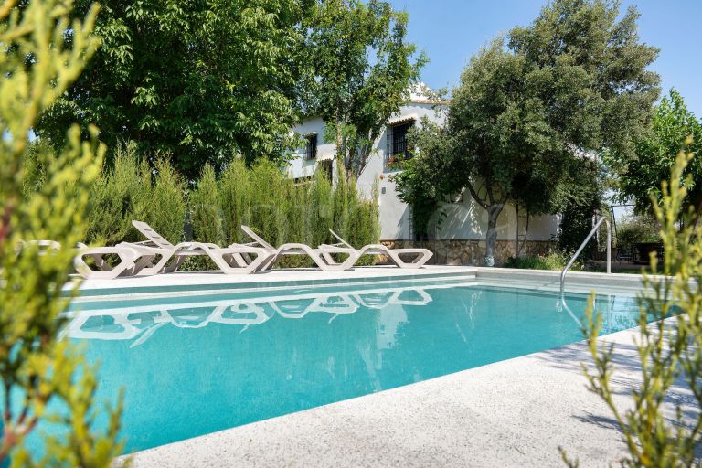 La Aragonesa – An Authentic Andalusian Estate with History and Character