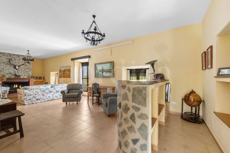 La Aragonesa – An Authentic Andalusian Estate with History and Character