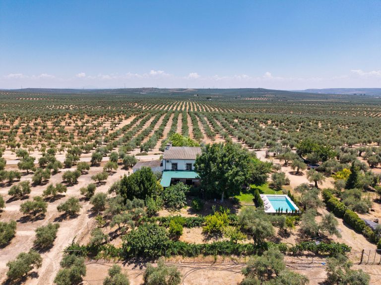 La Aragonesa – An Authentic Andalusian Estate with History and Character