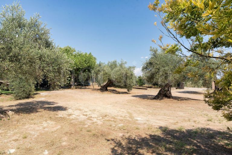 La Aragonesa – An Authentic Andalusian Estate with History and Character