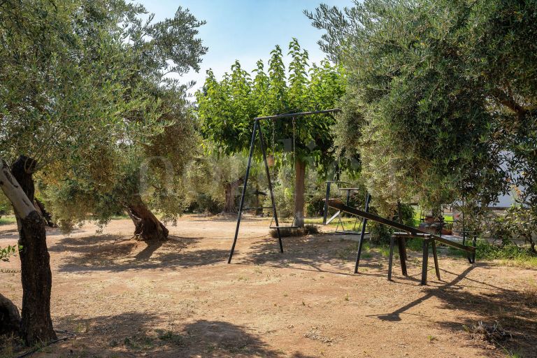 La Aragonesa – An Authentic Andalusian Estate with History and Character