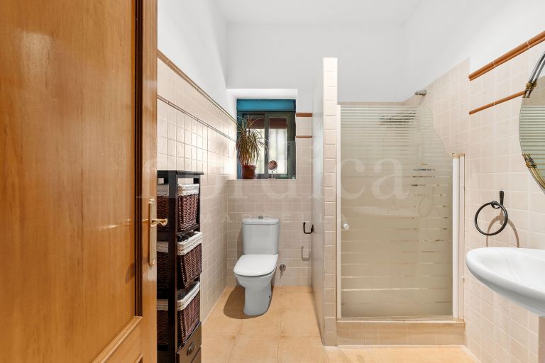 La Aragonesa – An Authentic Andalusian Estate with History and Character