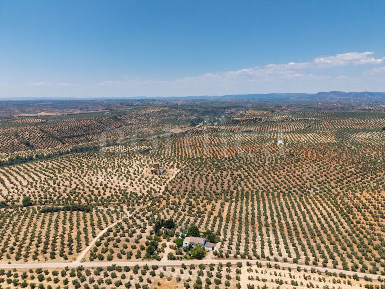 La Aragonesa – An Authentic Andalusian Estate with History and Character