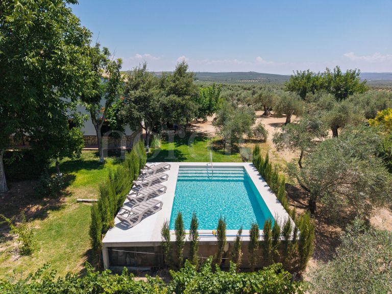 La Aragonesa – An Authentic Andalusian Estate with History and Character