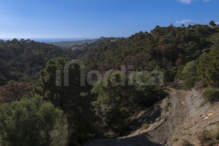 Grundstück zu verkaufen in Marbella Club Golf Resort