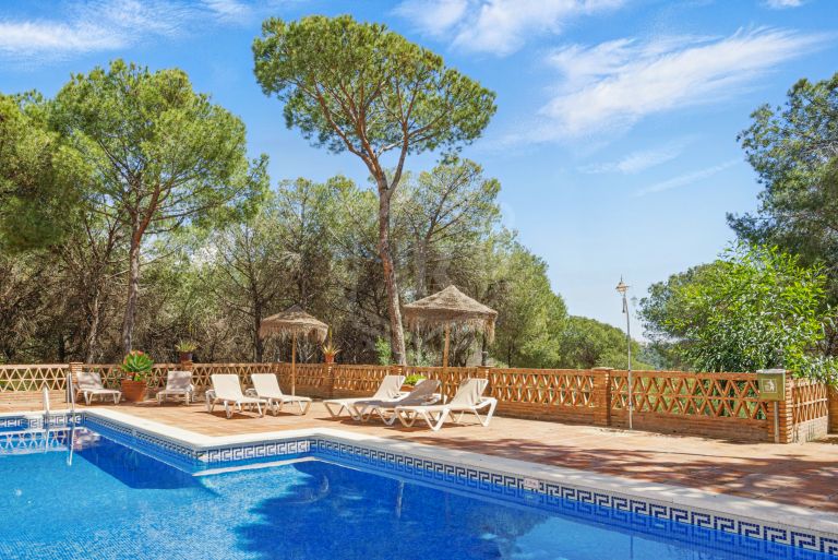 Amplio ático dúplex de cuatro dormitorios en el complejo Los Pinos de Aloha, Nueva Andalucía, Marbella