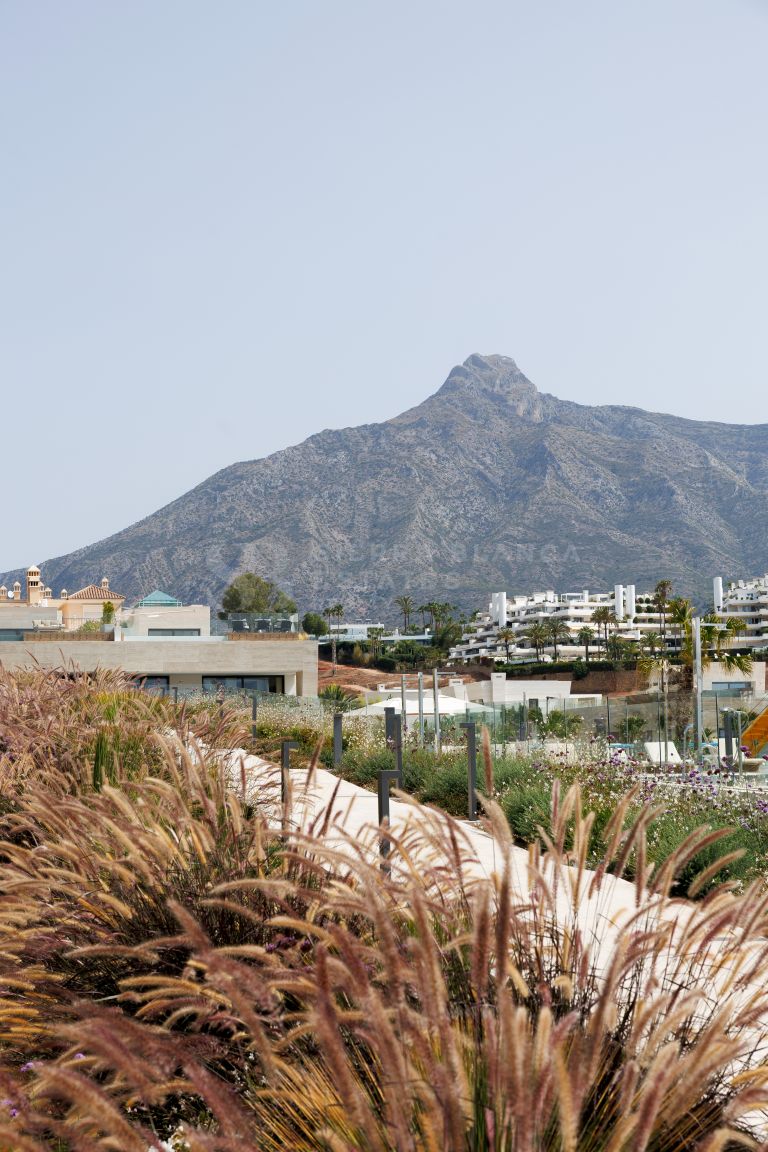 Epic Phase 2 – Apartment with Views