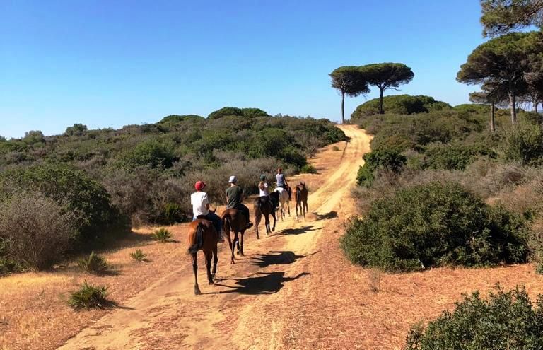 Sotogrande: Deporte y Naturaleza