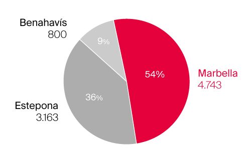2024 Distribution of Sales in the Golden Triangle