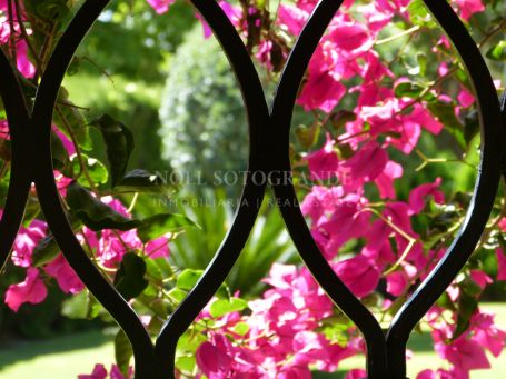 Villa for sale in Reyes y Reinas, Sotogrande