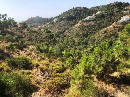Plot for sale in El Madroñal, Benahavis