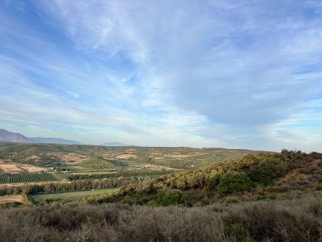 ESTATE WITH POTENTIAL CONVERSION TO HOTEL (OFF-MARKET)