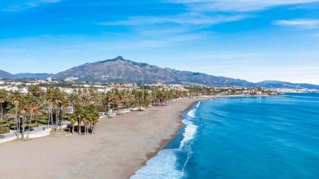 BUILDING IN SAN PEDRO DE ALCANTARA