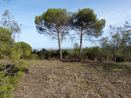Parcela en venta en La Reserva, Sotogrande