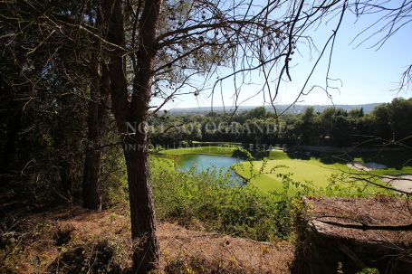 Grundstück zum Verkauf in Sotogrande Alto, Sotogrande