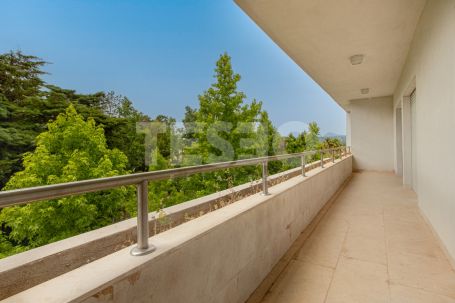 Spectacular Penthouse for sale at Polo Gardens
