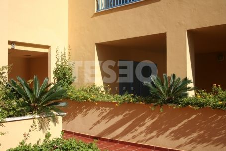 Amplio Apartamento en alquiler en Planta Baja