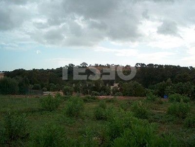 Plot with nice green views and South orientation in the F zone, Alto