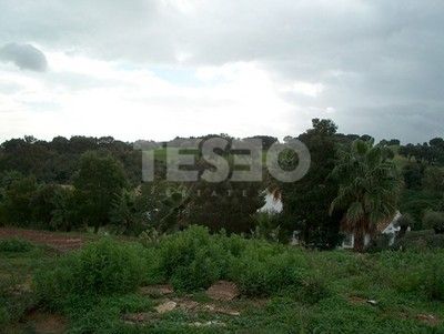 Plot with nice green views and South orientation in the F zone, Alto