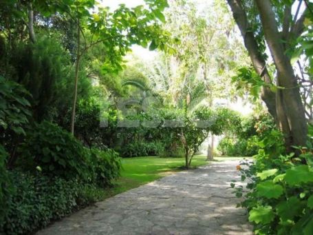 Large Plot for Sale in Paseo del Parque, Kings and Queens area, Sotogrande Costa