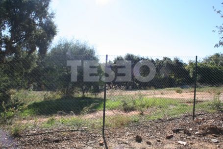 Excellent Plot for sale in the C zone