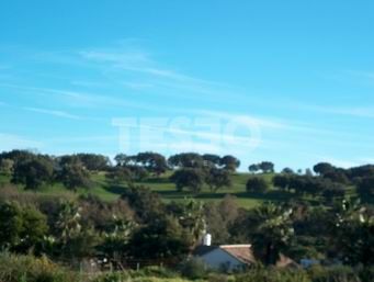 Parcela plana en zona F, con vistas del Golf de San Roque Club y orientación sur