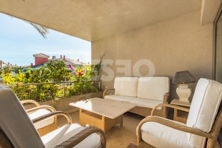 Spacious Apartment with a lovely terrace in Isla del Pez Barbero