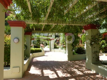 Beautiful duplex apartment with marina views and a private terrace in Sotogrande Marina for rent
