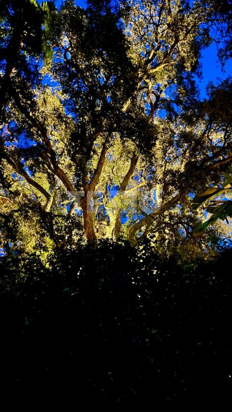 Exklusive Villa mit fünf Schlafzimmern in Triana, Sotogrande Alto