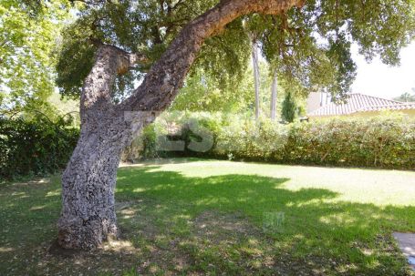 Exklusive Villa mit fünf Schlafzimmern in Triana, Sotogrande Alto