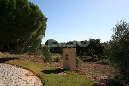 Double parcelle orientée plein sud à Los Altos de Valderrama, Sotogrande Alto