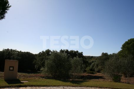 Double parcelle orientée plein sud à Los Altos de Valderrama, Sotogrande Alto