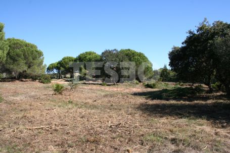 Exclusive Double Plot in Los Altos de Valderrama, Sotogrande Alto