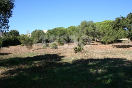 Exclusive Double Plot in Los Altos de Valderrama, Sotogrande Alto