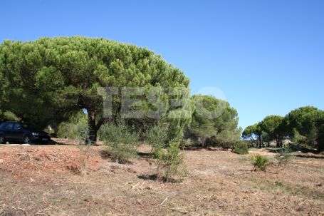 Exclusive Double Plot in Los Altos de Valderrama, Sotogrande Alto