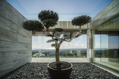 El SANTUARIO, obra maestra.