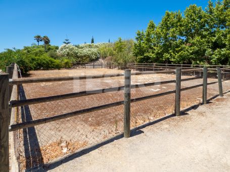 Magnificent equestrian estate 20 minutes from Sotogrande and the Mediterranean Sea