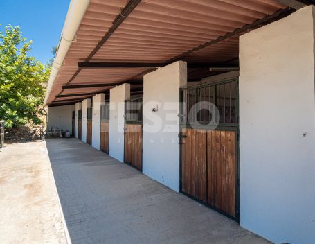 Magnificent equestrian estate 20 minutes from Sotogrande and the Mediterranean Sea