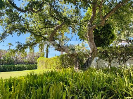Bonita Villa en Alquiler en Sotogrande Costa