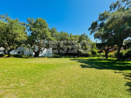Bonita Villa en Alquiler en Sotogrande Costa