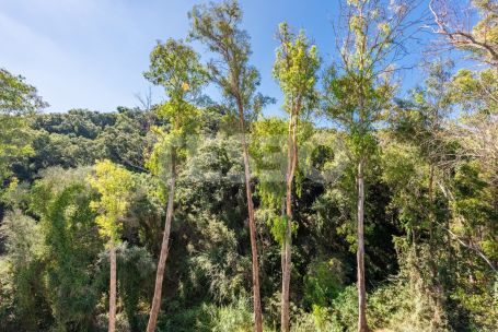 Zeitgenössische Villa in einer sehr schönen und natürlichen Umgebung von Sotogrande Alto, mit Blick auf eine Grünfläche.