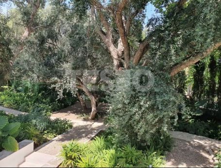 VILLA MENDOZA: Beeindruckende Villa im zeitgenössischen Stil im Herzen der Zone B, Sotogrande Costa