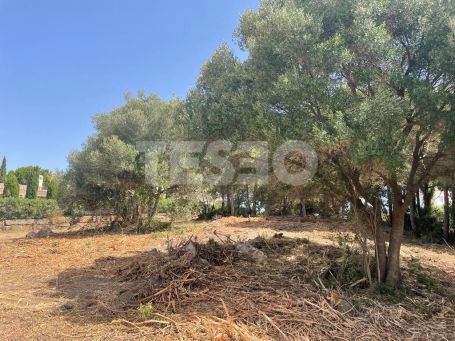 Plot with nice views and South Orientation near the new So Sotogrande Hotel