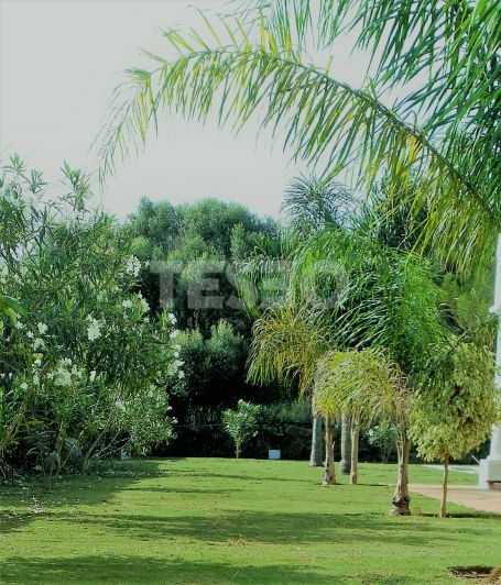 Villa Eivissa: beautiful colonial style villa with sea views