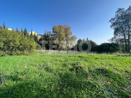 Stunning plot in Sotogrande Alto with a licence to build a fantastic comtemporary villa, all taxes already paid.