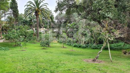 Magnificent plot on prestigious Paseo del Parque