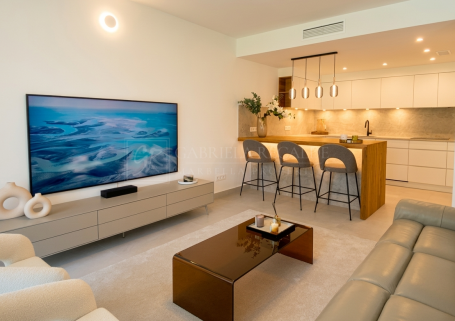 Luxurious two bedroom apartment with private terrace and high-end renovation